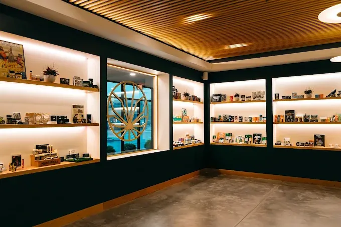 Dutchess Roots retail interior in Poughkeepsie, NY, with dark walls, backlit shelving and a wood-slat ceiling